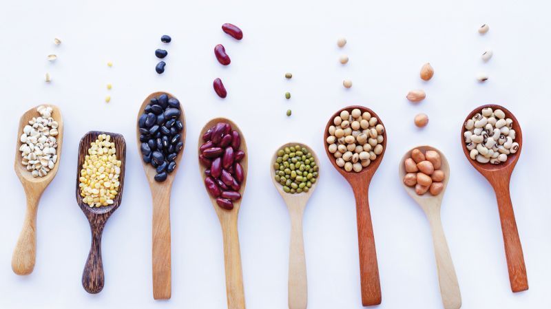 proteina-vegetal